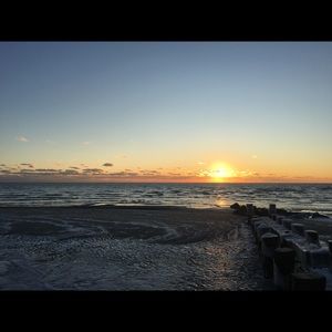 Meet your Posher, Holly